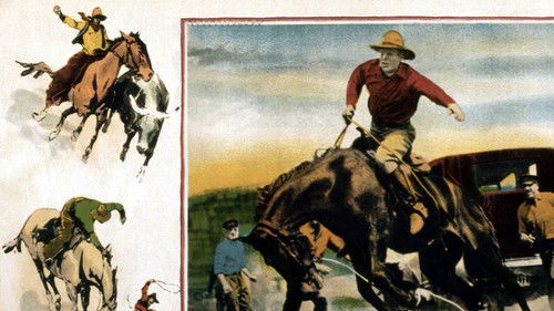 Painted Ponies Bild 1