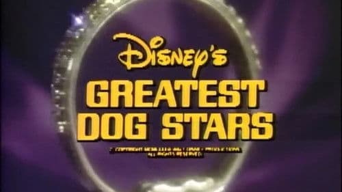 Disneys größte Hundestars Bild 1