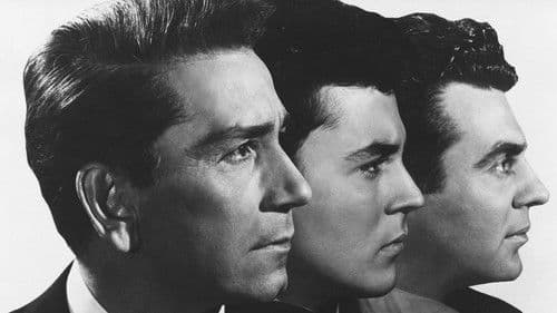 Hyänen der Straße Bild 5