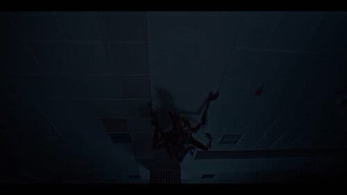 İlk Seans: NMSM Bild 3