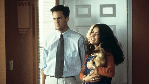 Fools Rush In - Herz über Kopf Bild 7