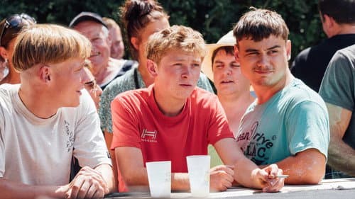 Könige des Sommers Bild 6