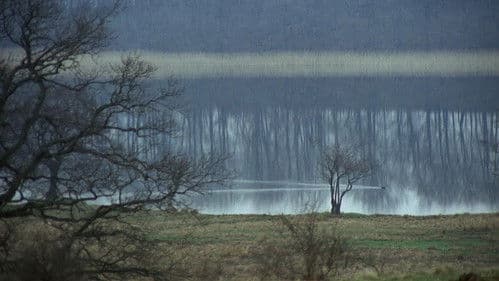 Das neue Land Bild 1