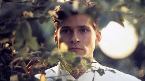 Die Zeit der bunten Vögel Bild 2