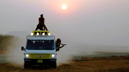 Sunshine Music Tours and Travels Bild 1