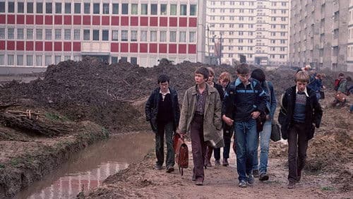 Insel der Schwäne Bild 1