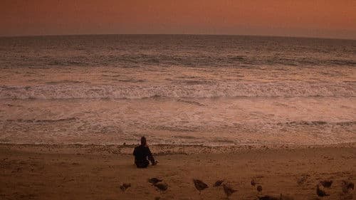 Ford Fairlane - Rock'n'Roll Detective Bild 3