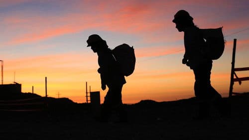 The Shadow of Gold Bild 1