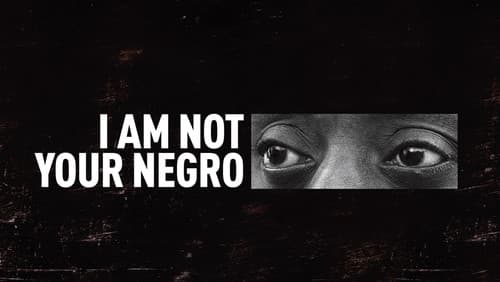 I Am Not Your Negro Bild 7
