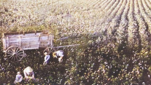 Ein Platz im Herzen Bild 5