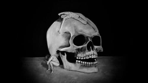 Fósforo Frio Bild 1