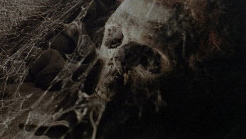 Dracula im Schloß des Schreckens Bild 8