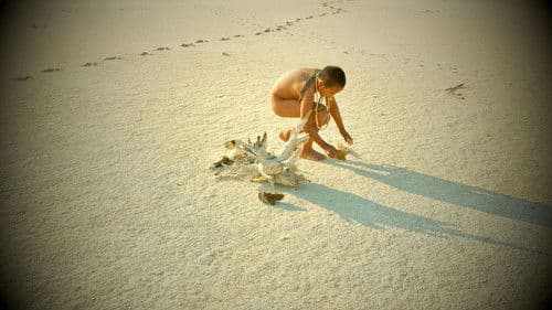 Eami, der Geist des Waldes Bild 6