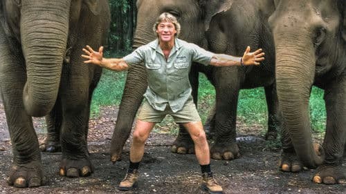 Die Steve Irwin Story Bild 1