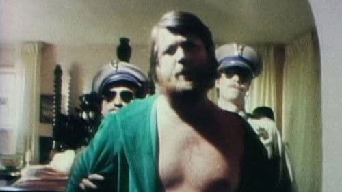 The Beach Boys: It's OK Bild 1