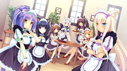 Nekopara OVA Bild 2