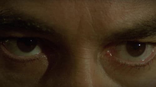 El huerto del francés Bild 2