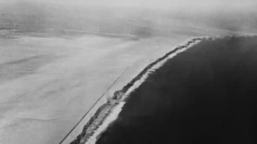 Das erste Jahr Bild 6