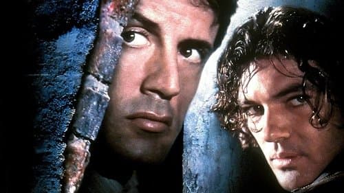 Assassins - Die Killer Bild 3