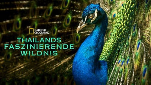 Thailand's Wild Side Bild 5
