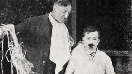 Hoffmeyer's Legacy Bild 1