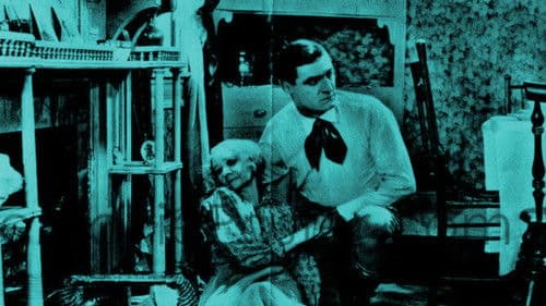 Ladies to Board Bild 1