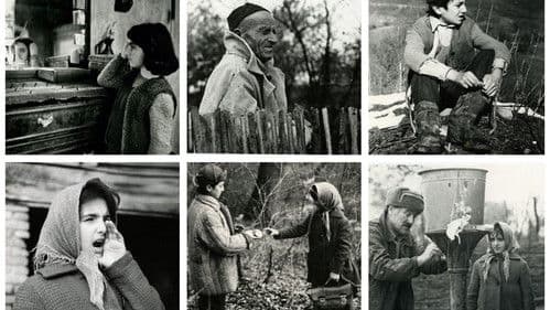 დედუნა Bild 1