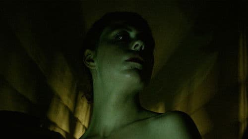 Animal Kingdom Bild 2