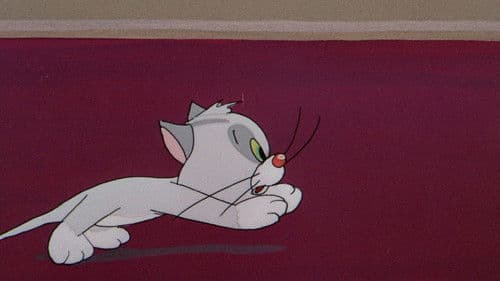 Bad Luck Blackie Bild 4