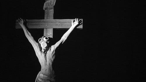 Der Mann, der das Gedächtnis verlor Bild 2