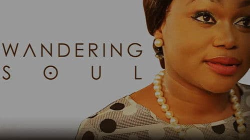 Wandering Soul Bild 1