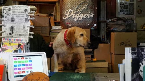 とんかつDJアゲ太郎 Bild 1