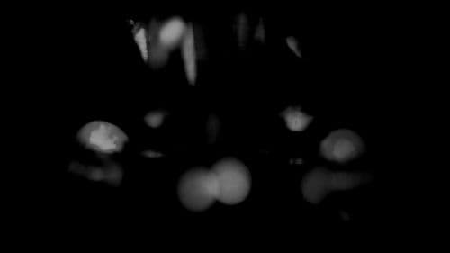 A Man Walking Backwards and Forwards Bild 1