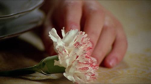 Ko zorijo jagode Bild 7