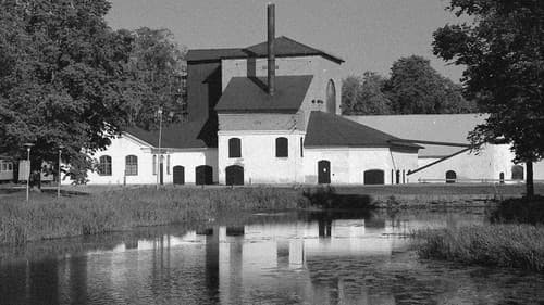 Wenn die Nebel fallen Bild 2