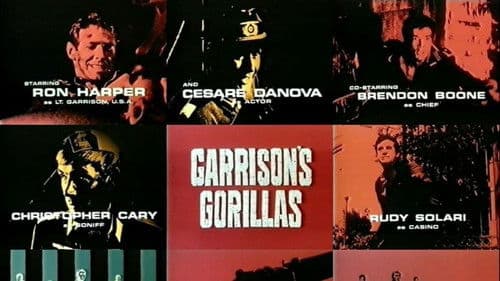 Garrison's Gorillas Bild 3