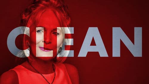Clean Bild 2