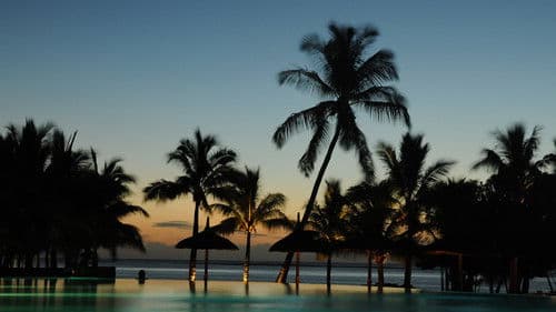 Die letzten Paradiese Bild 1