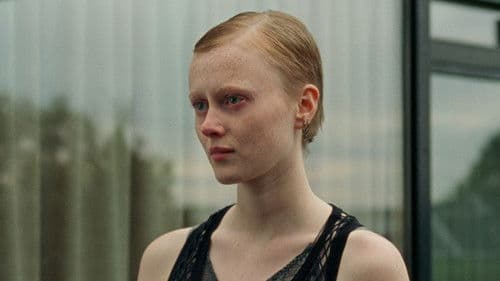 Wenn das Licht zerbricht Bild 6