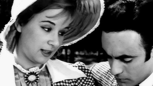 Ο Μιμίκος Και Η Μαίρη Bild 1