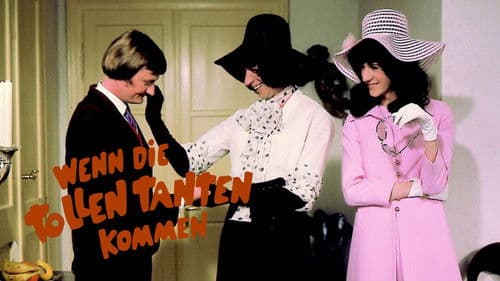 Wenn die tollen Tanten kommen Bild 4