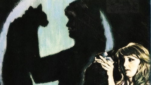 Cazar un gato negro Bild 1