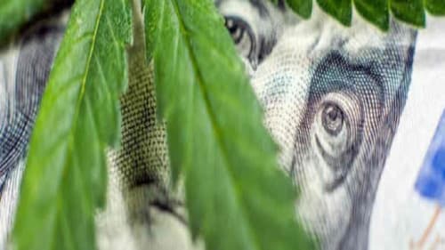 Cannabis : quand le deal est légal Bild 1