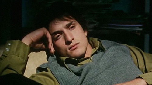 Piovono mucche Bild 2