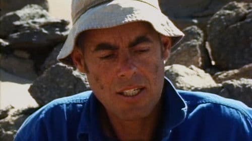 Stones and Flies: Richard Long in the Sahara Bild 2