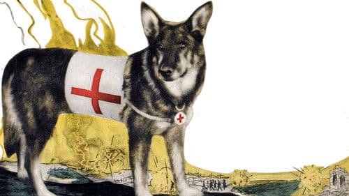 A Dog of the Regiment Bild 1