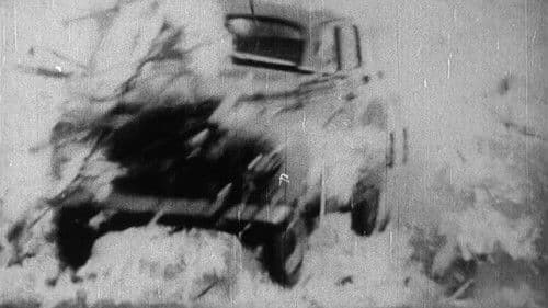 THE WHOLE SHEBANG Bild 2