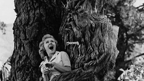 From Hell It Came Bild 2