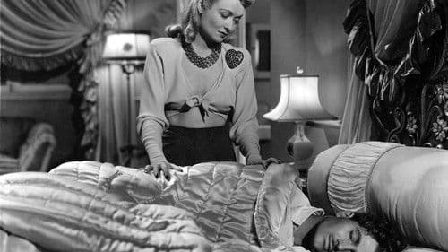 Flucht in die Tropen Bild 2