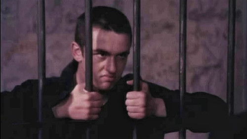 უძინართა მზე Bild 1